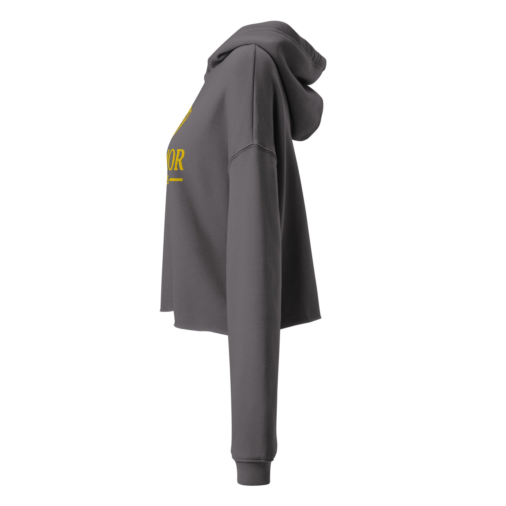 AMMOR PARIS women’s grey cropped hoodie with gold luxury designer logo, premium high‑end streetwear fashion hoodie modeled for urban minimalist lifestyle apparel, contemporary Paris‑inspired luxury clothing brand piece crafted for elevated modern wardrobe, refined designer streetwear, upscale fashion styling and premium everyday luxury wear